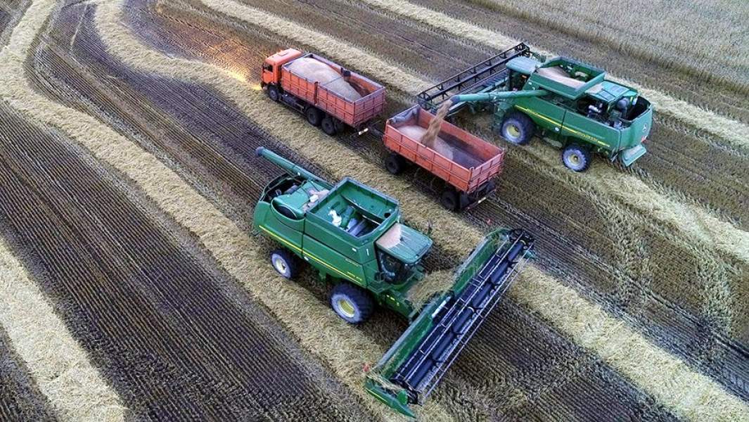 Уборка урожая пшеницы на поле в окрестностях села Солгон Красноярского края