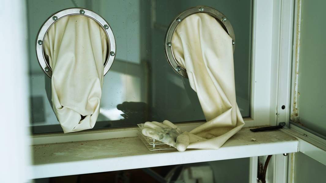 Перчатки в лаборатории 