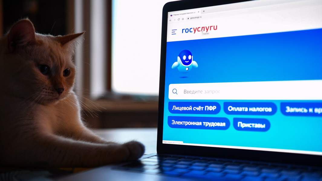 Ноутбук госуслуги