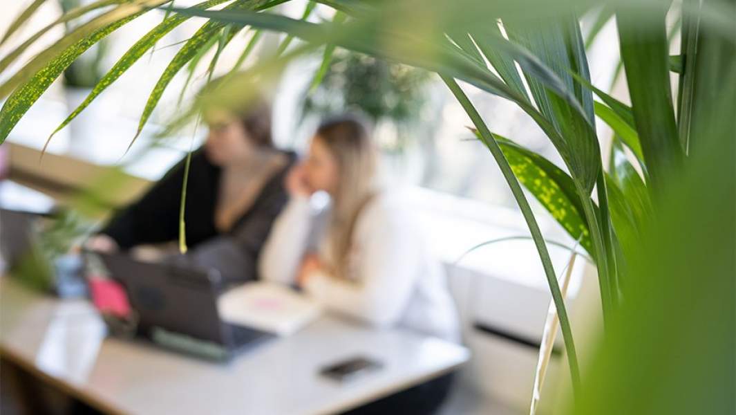 собеседование