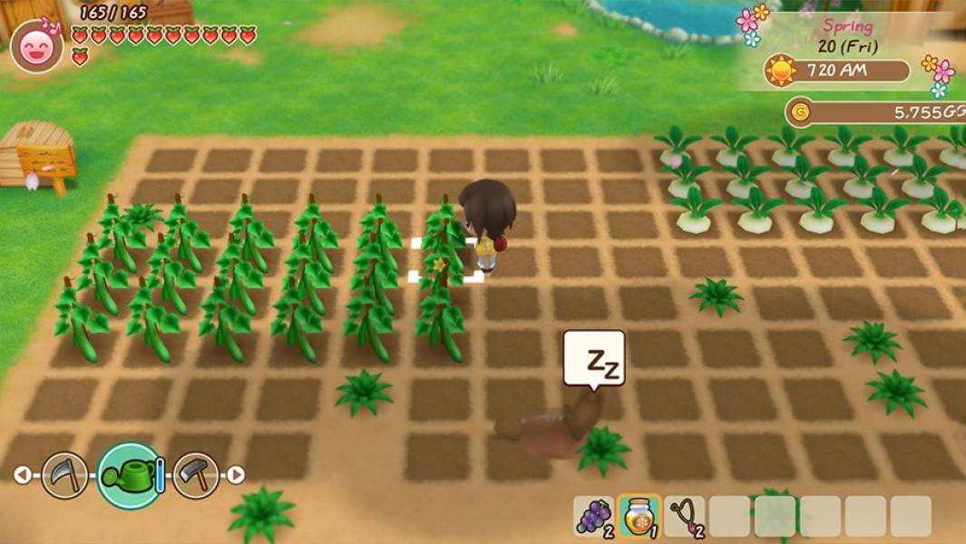 Скриншот из игры Story of Seasons: Friends of Mineral Town