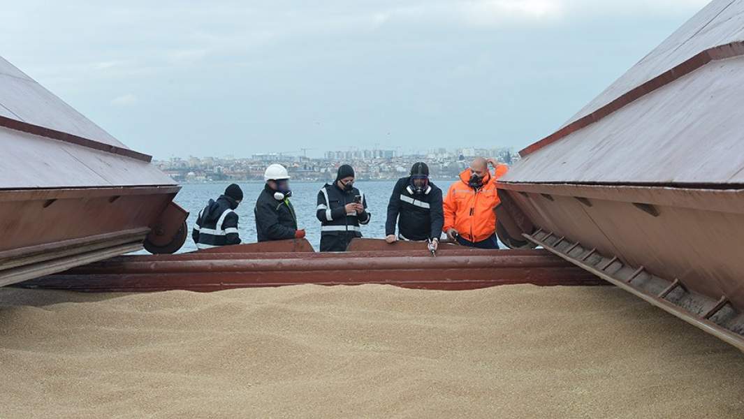 Осмотр сухогруза с украинским зерном для Афганистана у берегов Турции