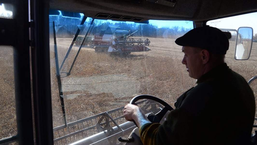 сельское хозяйство 