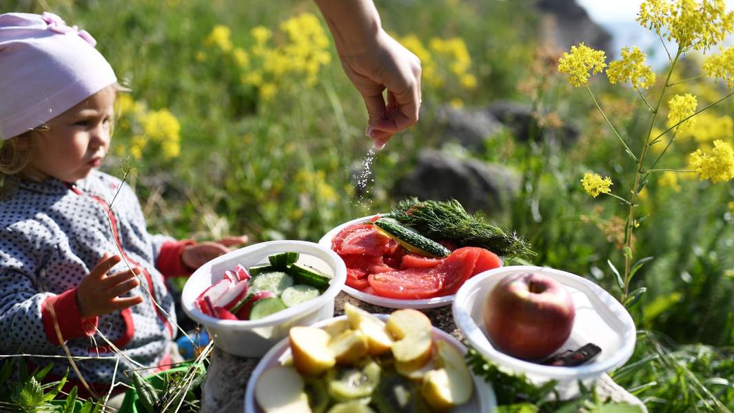 Ребенок на пикнике