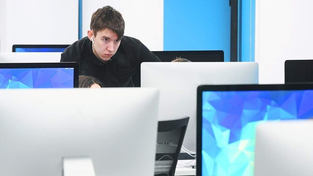 программисты 