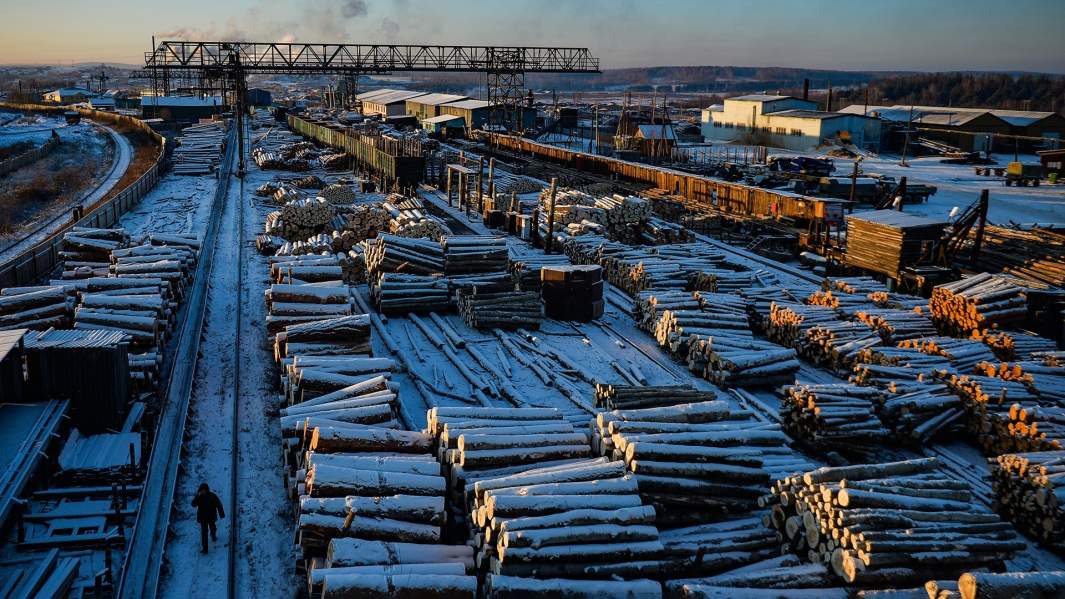 Погрузочная площадка предприятия заготовки древесины