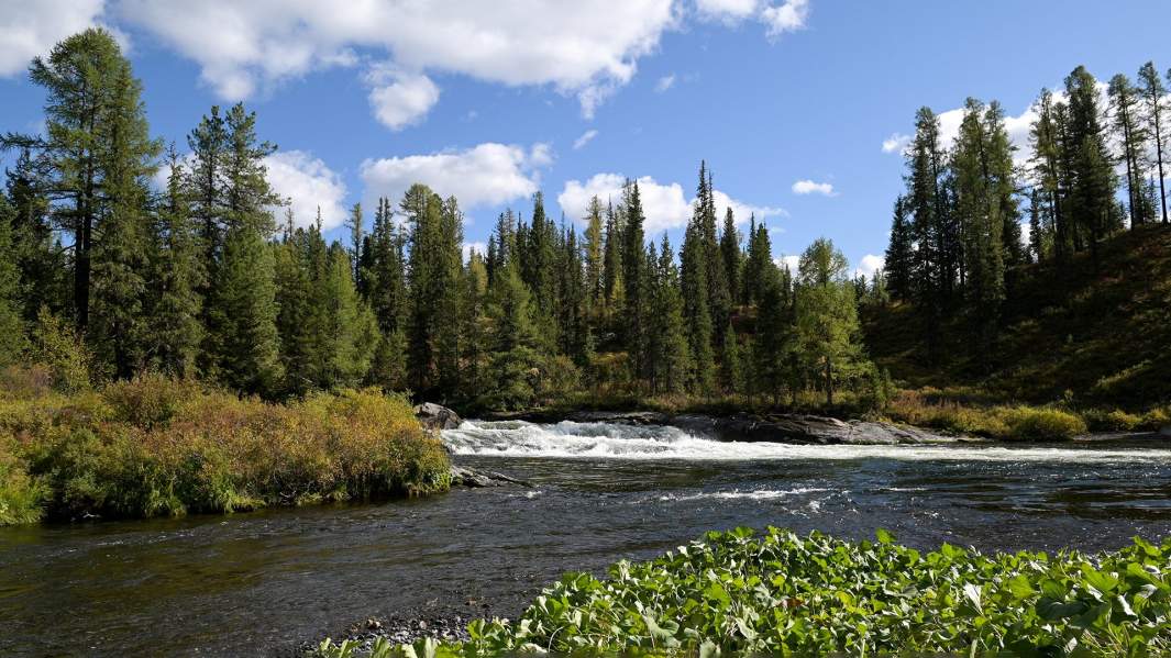 Природа в Сибири