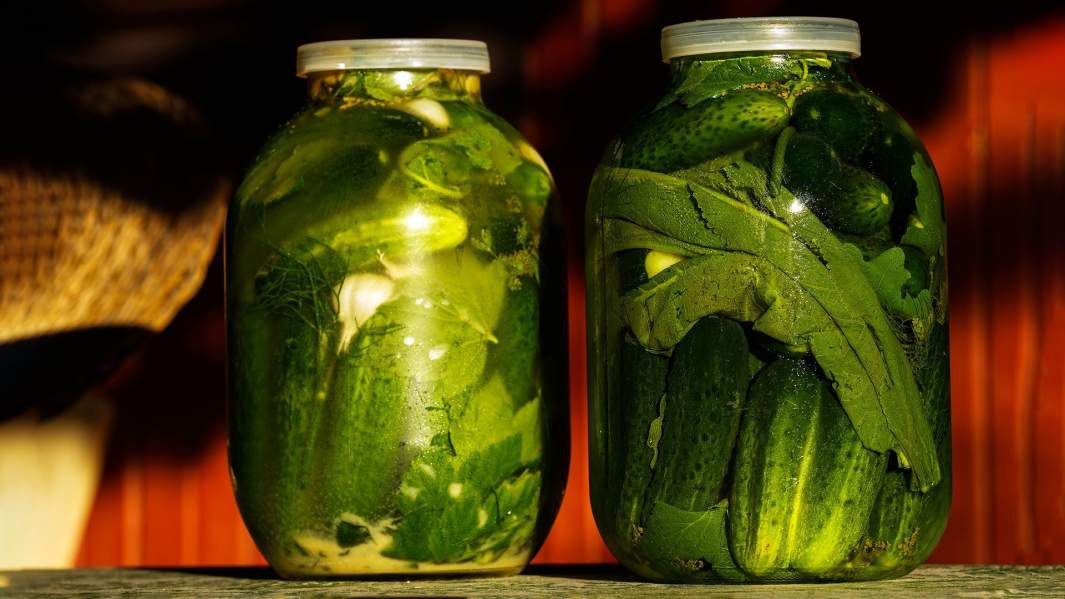 банки с огурцами