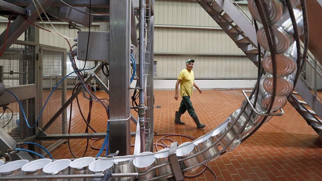 Bonduelle производство