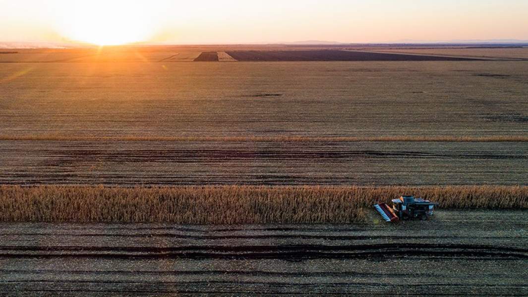растениеводство