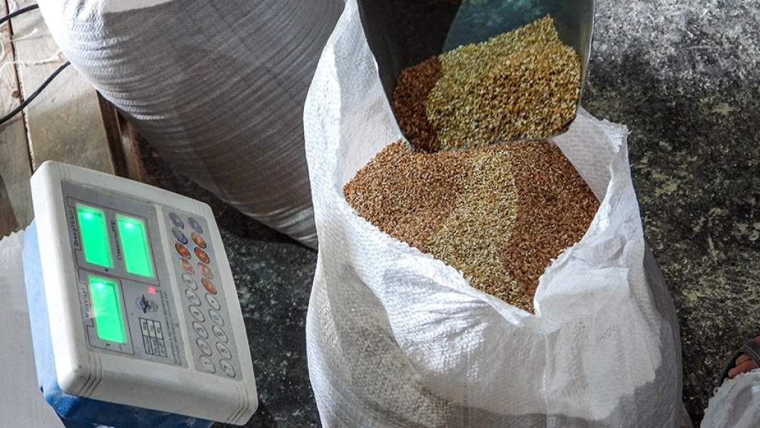 зерно мешок  урожай