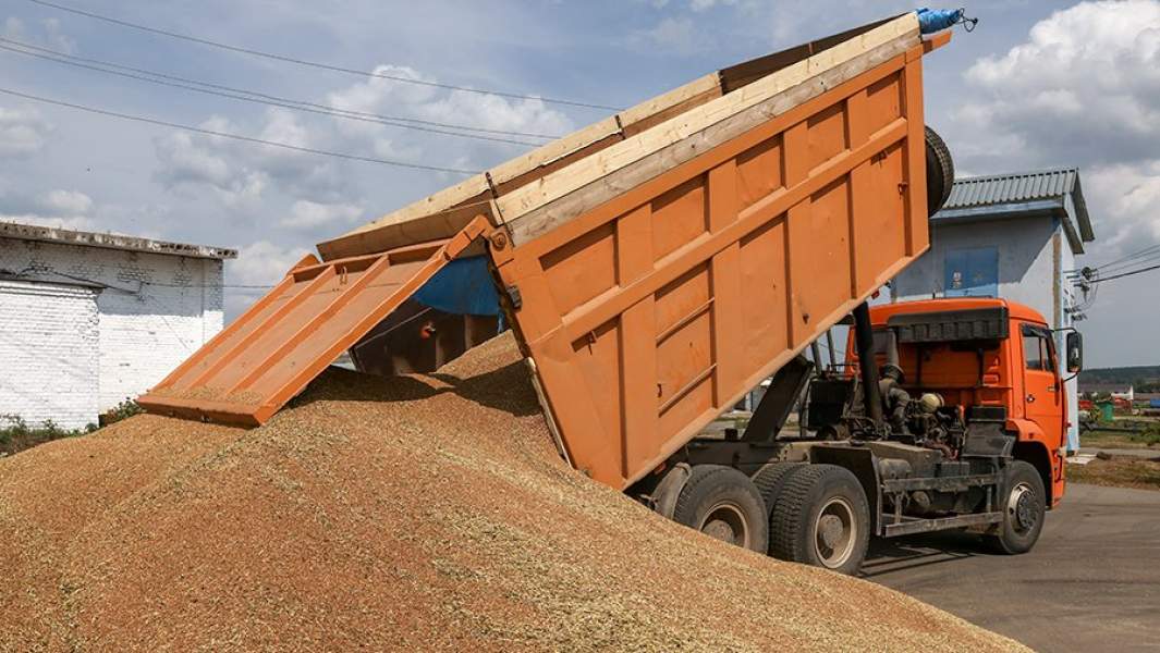 зерно уборка 