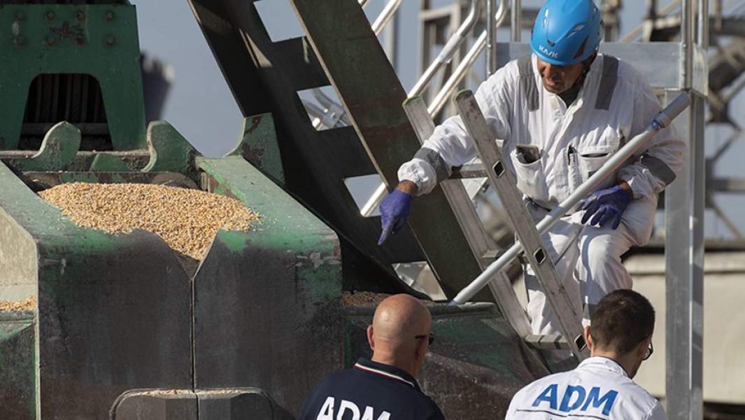 Грузовое судно с 15 тыс. тонн кукурузы из Украины прибыло в Италию