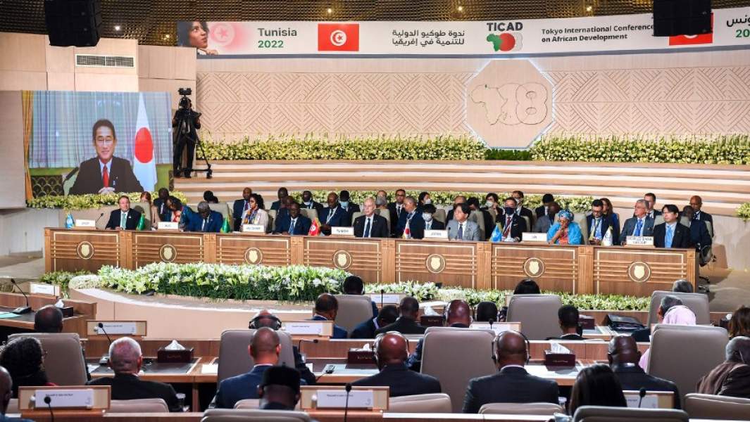 Токийская международная конференция по развитию Африки