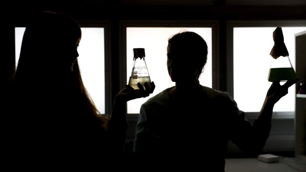 Курчатовский институт