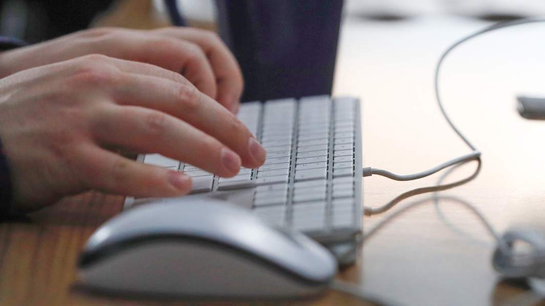 разработчик