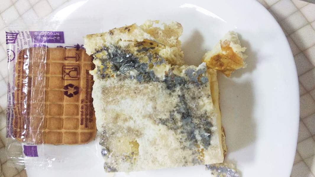 омлет с плесенью