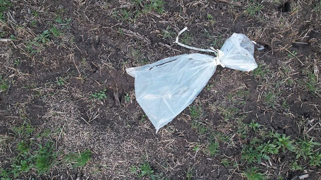 Один из предметов, сбрасываемых с дронов ВСУ