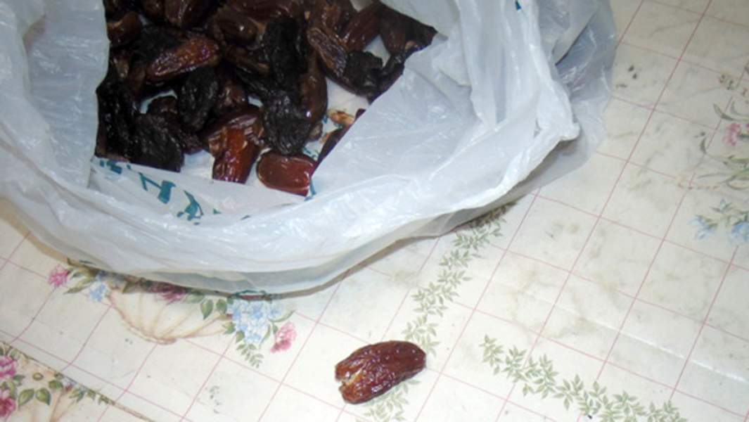 Изъятые ФСИН финики