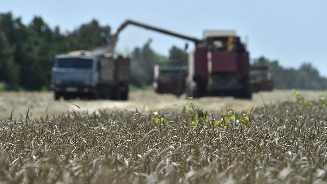 сельское хозяйство