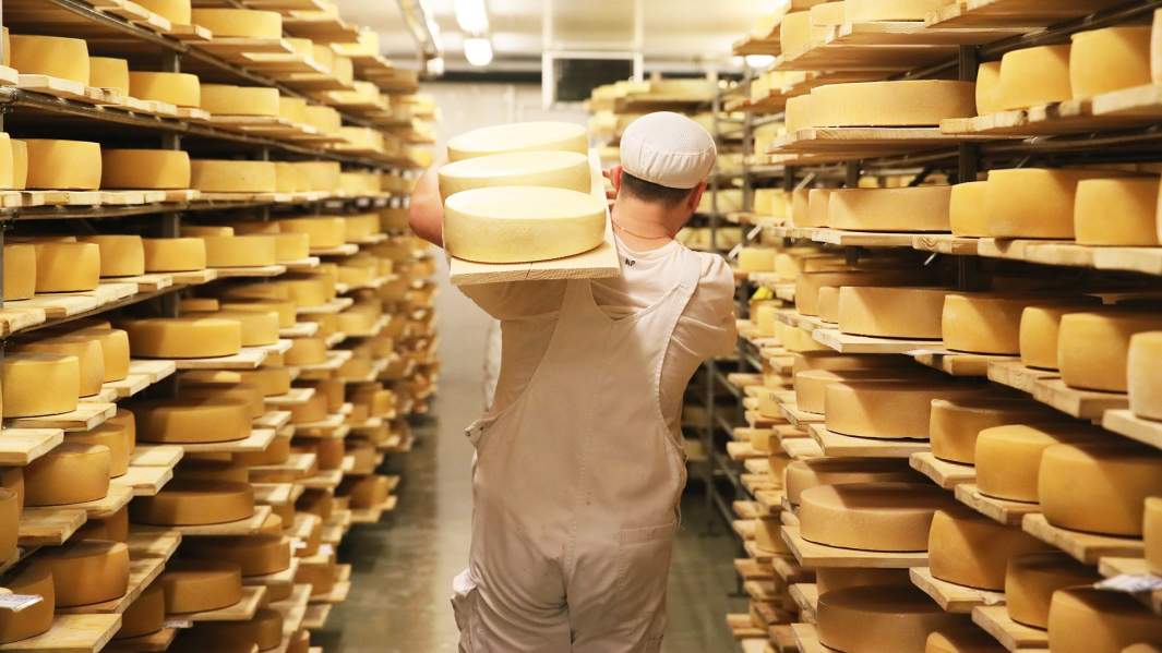 завод сыр