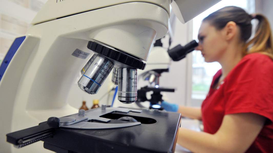 микроскоп врач 