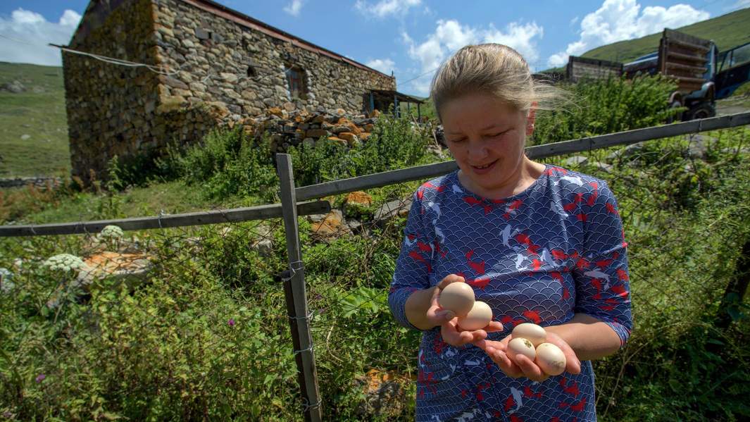 деревенские яйца