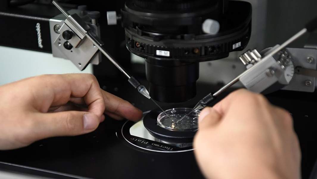 искусственное оплодотворение