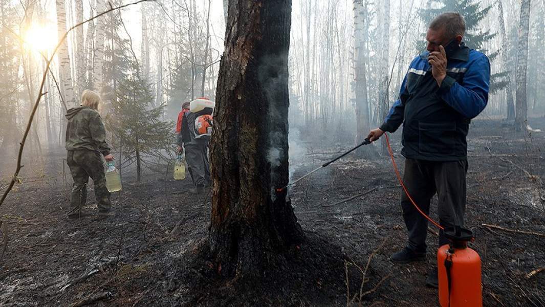 Добровольцы во время тушения пожара в окрестностях села Успенка, Тюменская область 