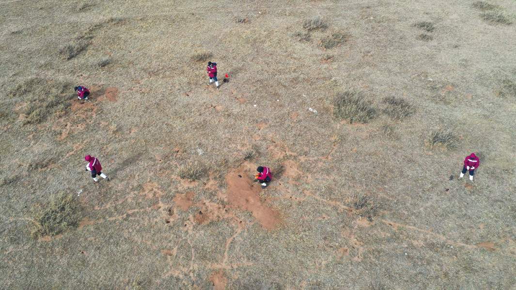 профилактика эпидемий