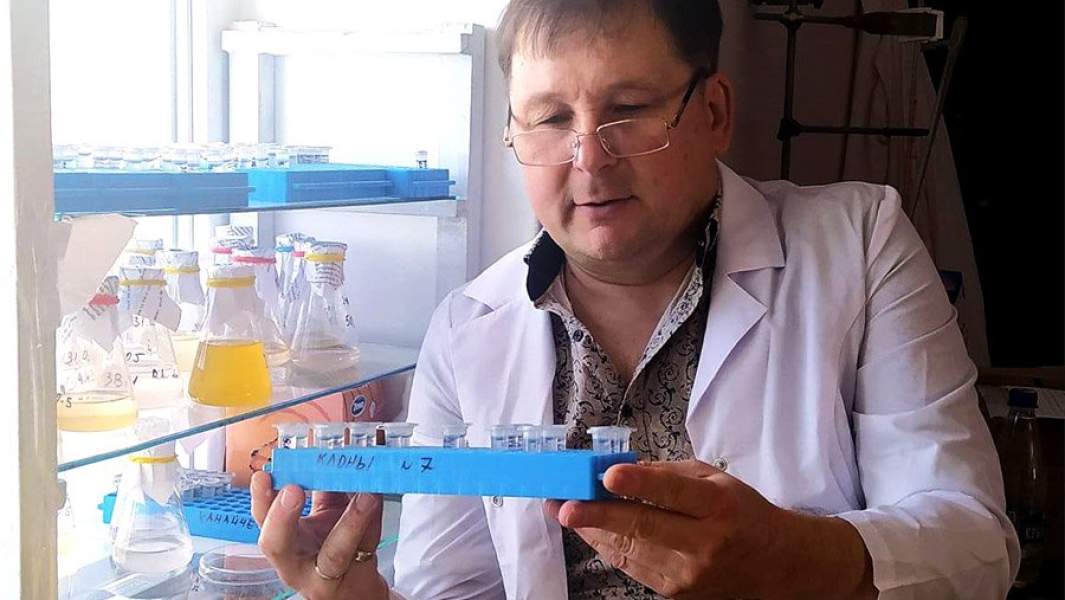 Владимир Муханов, руководитель отдела планктона ИнБЮМ