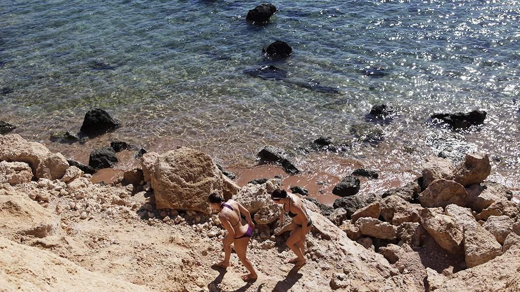 Сетки в отелях от акул египет. Египет отпуск. Опасно ли отдыхать в египте. Египет открыли для туристов. Египет фото туристов.