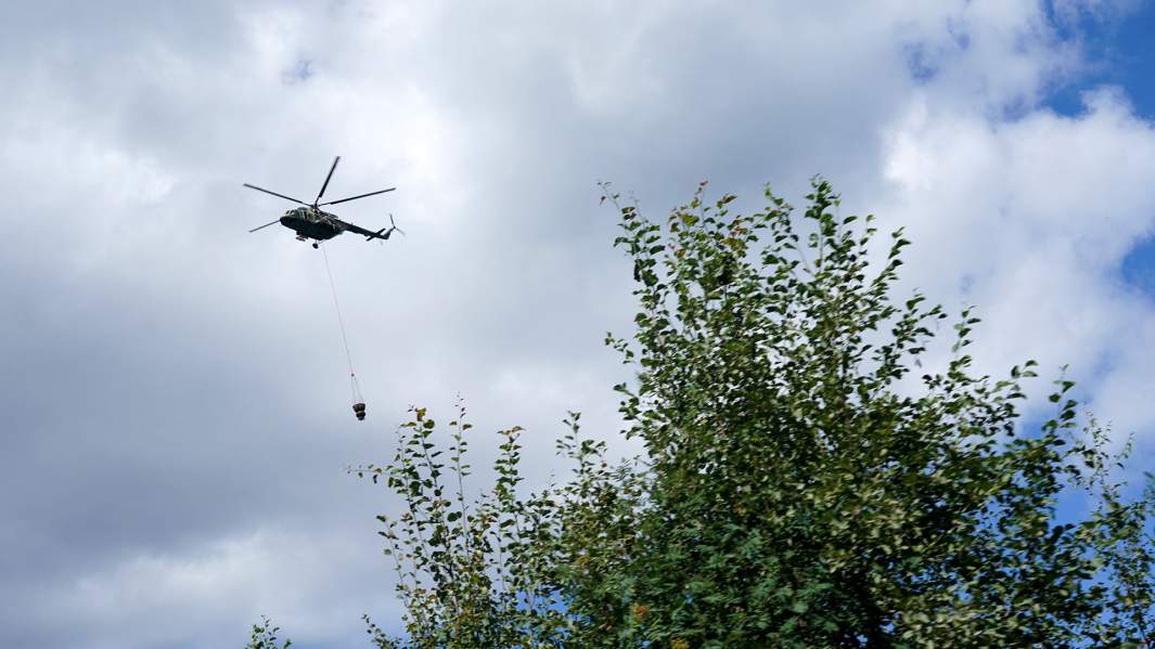 лес вертолет