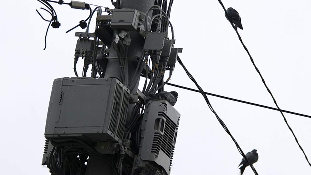 Голуби сидят на вышке сотовой связи