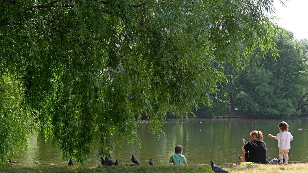 парк прогулка лето