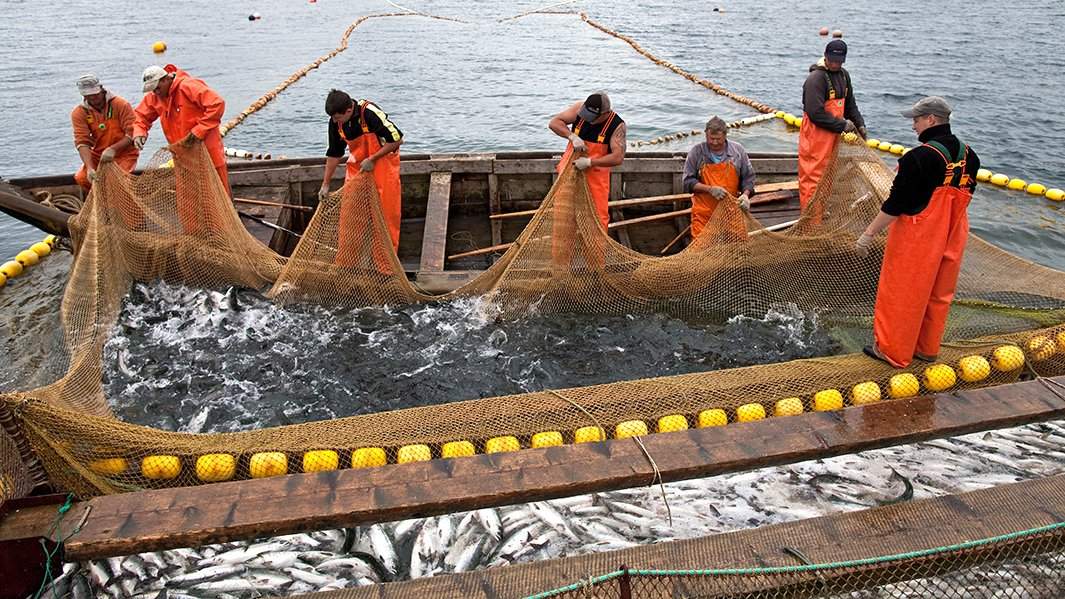 Лов рыбы на Сахалине