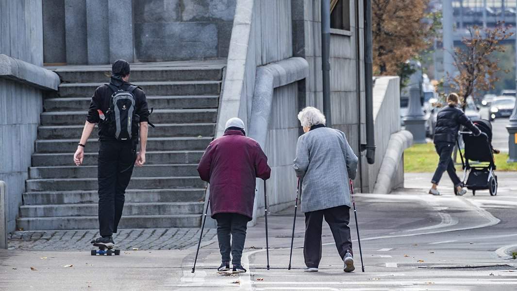 бабушки на прогулке