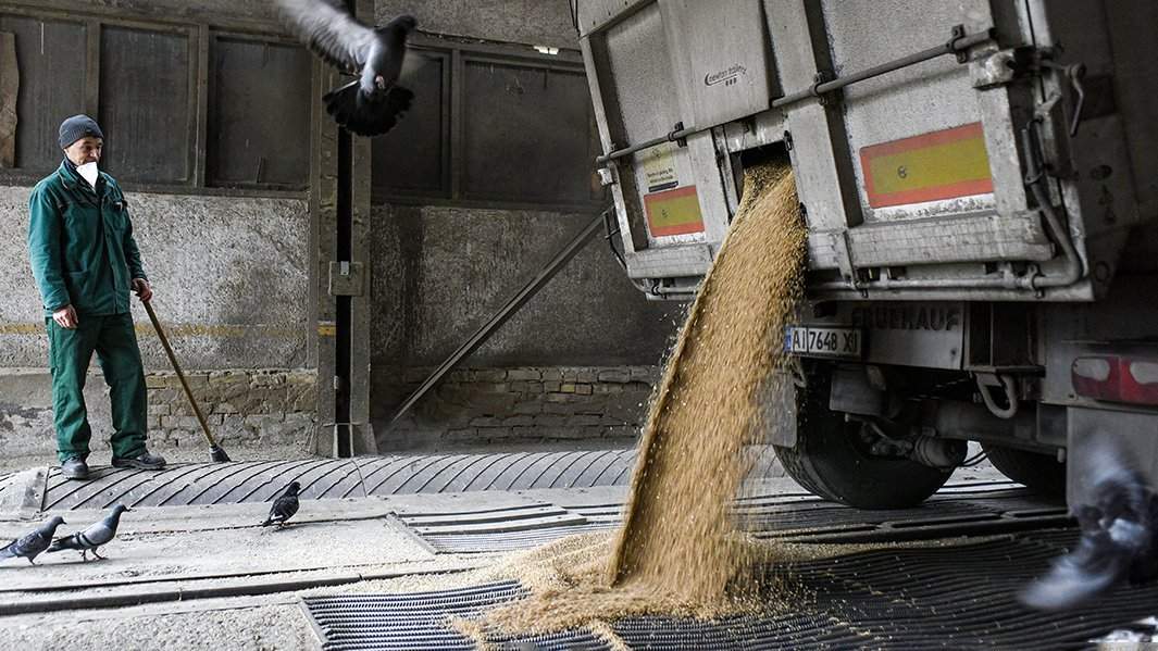 зерновая сделка