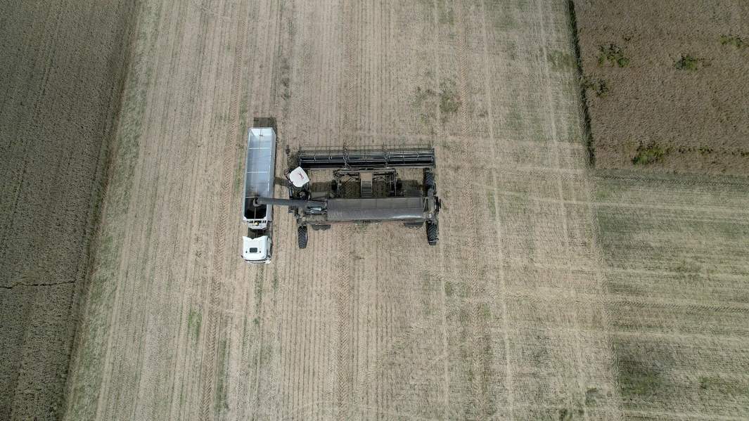 Зерно, сделка, Украина