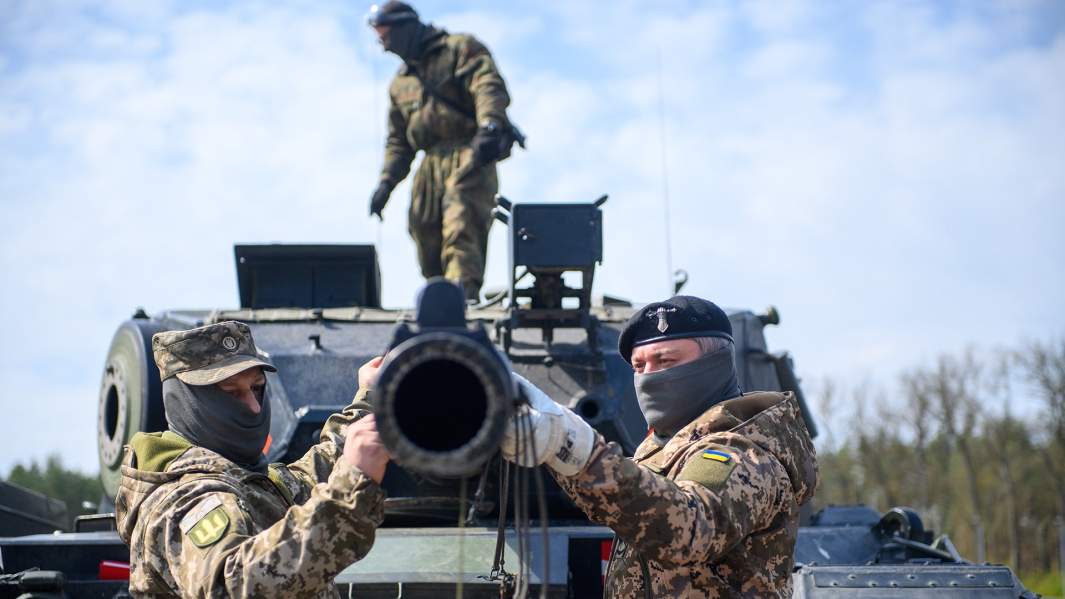 поставка леопардов