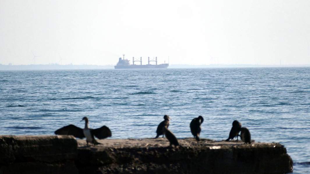 корабль в одессе