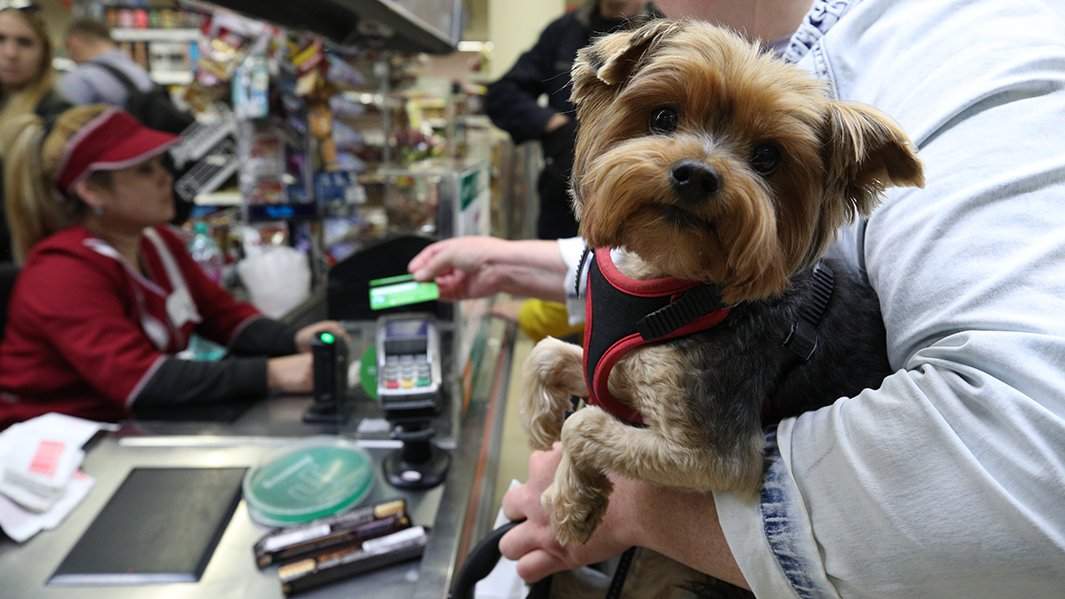 оплата в магазине