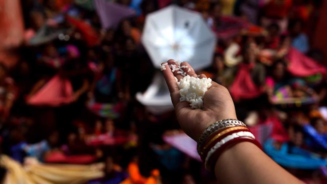 Горсть риса