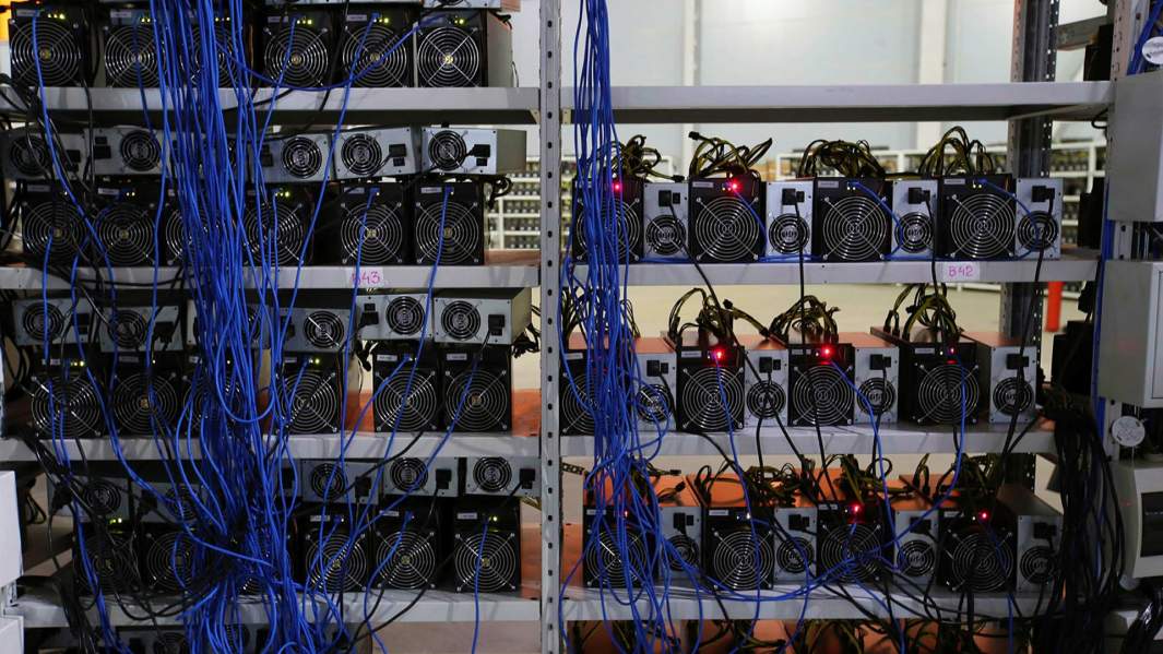 криптоферма