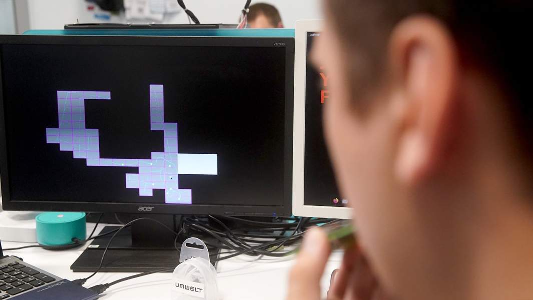 стартап Umwelt