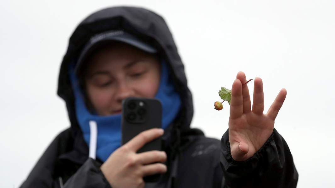 Чукотка, туризм