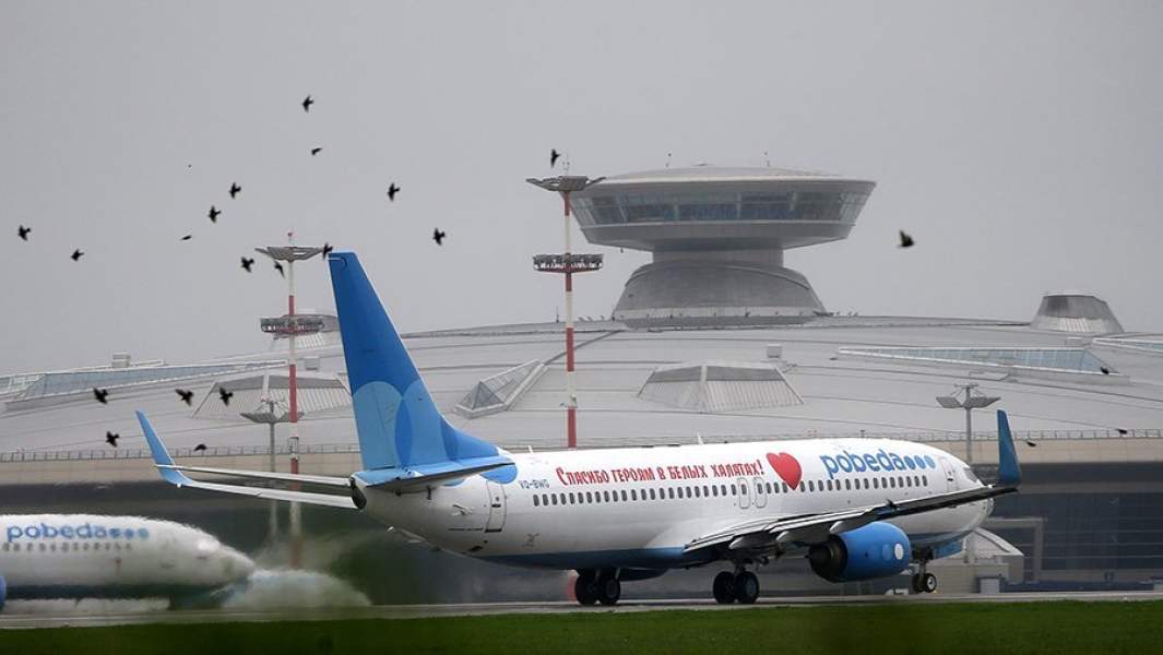 самолет птицы аэропорт