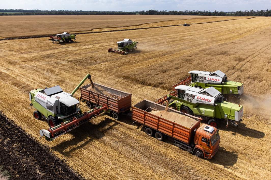Уборка урожая пшеницы на полях Усть-Лабинска в Краснодарском крае