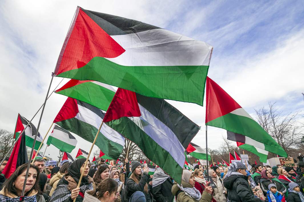 Демонстрация в знак солидарности с жителями Газы в Гааге в Нидерландах, 10 декабря 2023 года