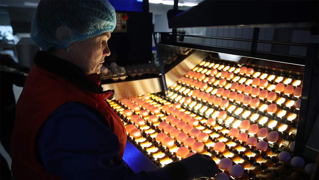 Александровская птицефабрика